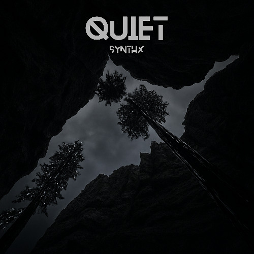 QUIET - S Y N T H X [FREE DOWNLOAD]