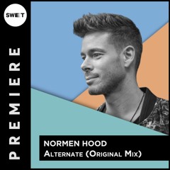 PREMIERE : Normen Hood - Alternate (Original Mix)[Hive Audio]