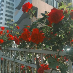 yours,truly(자작곡,original demo)