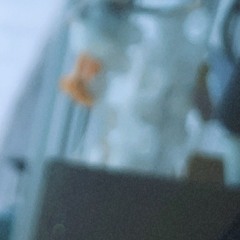 Suheeson-파충류 (Cover)