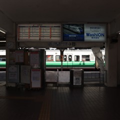 シノノイディスコ