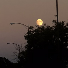 top of the moon