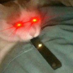 Drink Like A Man And Fuck Like A Horse!