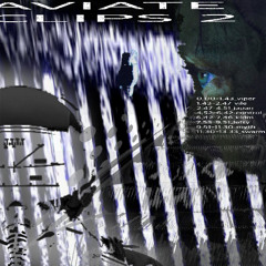 CLIPS#2_aviate