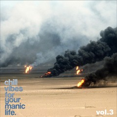 chill vibes for your manic life. vol. 3