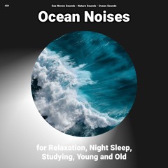 Ocean Noises for Relaxation and Night Sleep Pt. 24