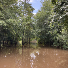 Bedroom Sessions - Heading South