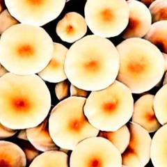 Paul Traeumer, Momo_Socko_Your Shadow is Blue_Psylocibe Cubansis Remix