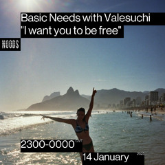 Basic Needs with Valesuchi - "I want you to be free"