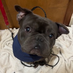 Play pretend (prod. keelo2k)