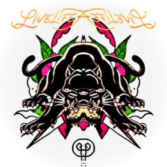 one night (feat. ant)