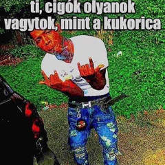 kutyakiherelo muzsik