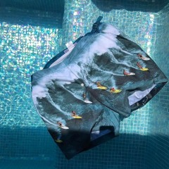 Hawai de Vacaciones Remix by SRC