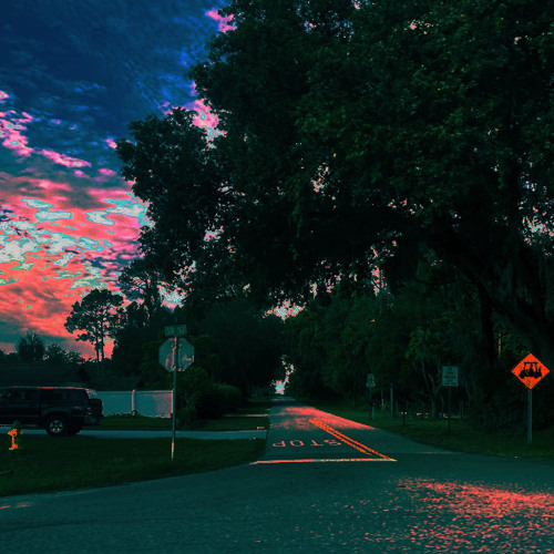 i get gender envy from shadow the hedgehog (remix)