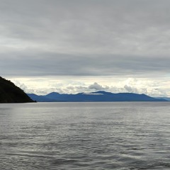 The Second Plague, Frogs - by Victor Butzelaar - Rusty Lake Paradise