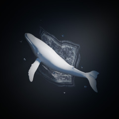 Desiree Nemcik - Fomalhaut (Original Mix)