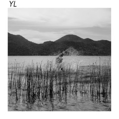 YL # 001