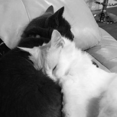 chris grey - us against the world (slowed)