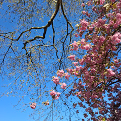 192 Electro Choc (2026 SMACKS) 125BPM