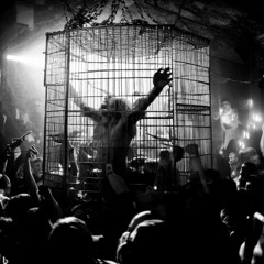 REDLINE- SCHRANZ/ HARD TECHNO Full Set- Cosmic Kitty