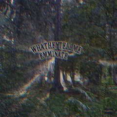 whatheytellme *musicvidindesc* (2021)