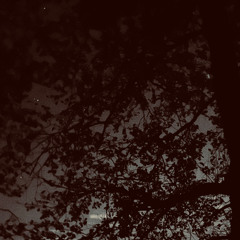 La Clinique - 1st demo