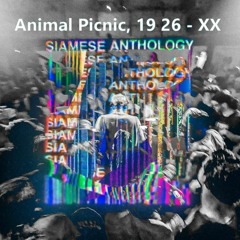 19:26, Animal Picnic vs Fred Again.. - XX vs Jungle (Ballar Mashup)