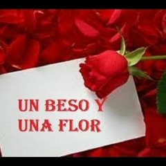 un beso y una flor cover nino bravo