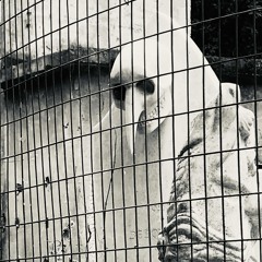 collisione•MetalSlang•