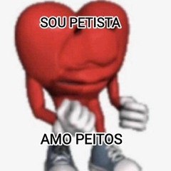 PULA JANELA - WR ORIGINAL (DJ TL OFICIAL & DJ GUXTHA)