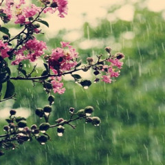 أستغفرُ الله وأتوبُ إليه🌿