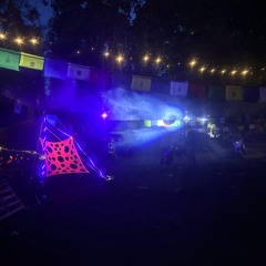 Kilian Beudert b2b Tim Drignat @ Tanzen mit Pflanzen 2024