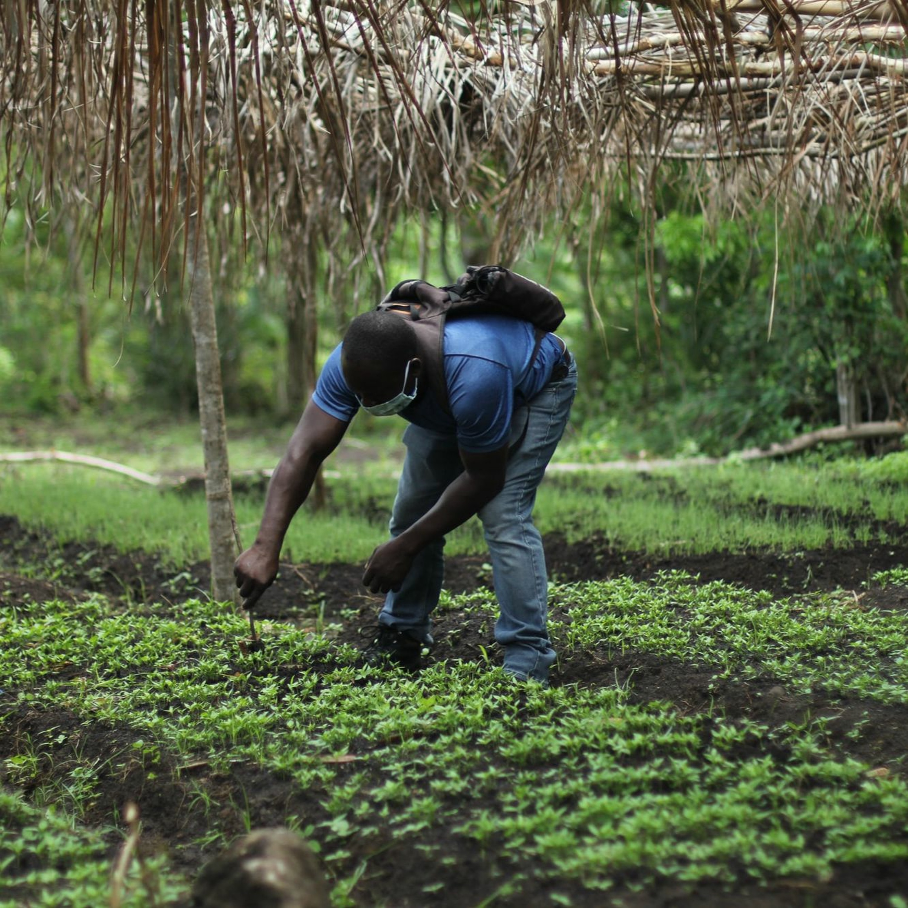 UNAJUA S4 EP2: Does access to certified inputs impact farmer success? feat. Karidas Tshintsholo