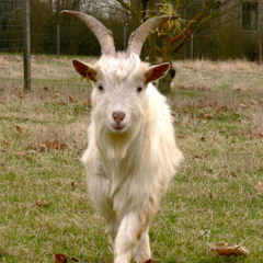 Quatorzième épisode : un nul à Domec, c'est une revanche sur la vie