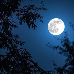 إنشاد لبردة البوصيري