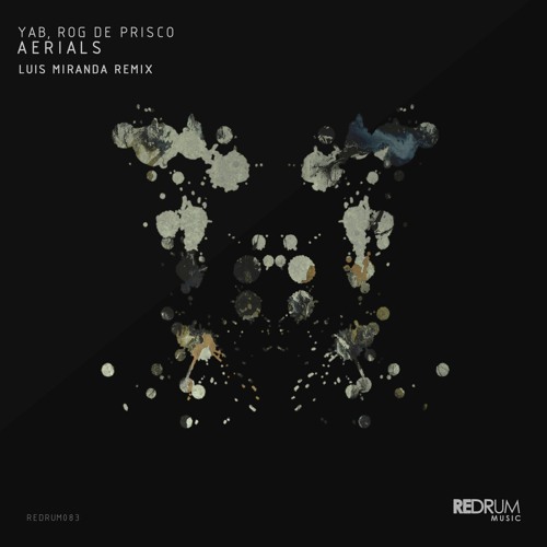 PREMIERE: YAB (IT) & Rog De Prisco - Aerials (Original Mix) [Redrum Music]