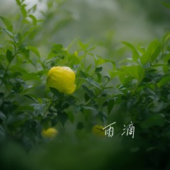 雨滴