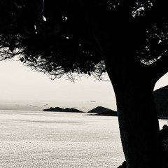 ليل البنفسج - على شط الفرات