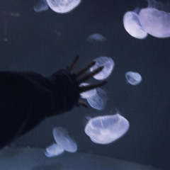 クラゲワンダー only ver. / coco. (cover)