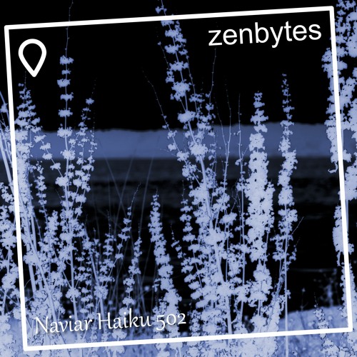 firework darkness - Naviarhaiku 502