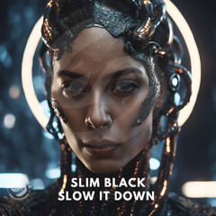 Slim Black Slow It Down (radio edit)