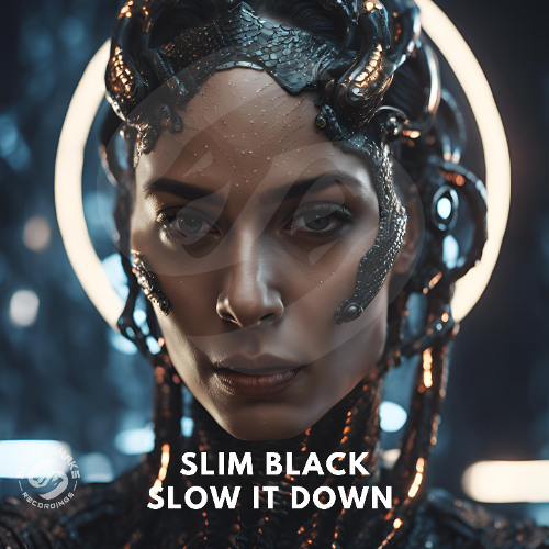 Slim Black Slow It Down (radio edit)
