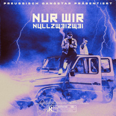 Nur wir (feat. Preussisch Gangstar)