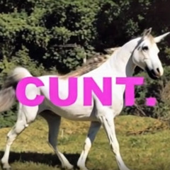 C*nt DJ_Ge5und#eit(hidethebody hard techno remix)