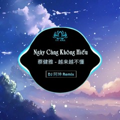 Ngày Càng Không Hiểu 蔡健雅 - 越来越不懂 (DJ 阿坤 Remix) TikTok
