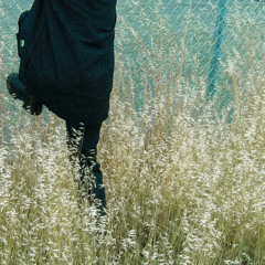 THE TWILIGHT OF DOLASSEL