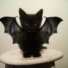 ⚠️Fourth set⚠️ CSC - TRIBE/ACIDCORE/GABBAGABBA MIX 180BPM 28/03/25