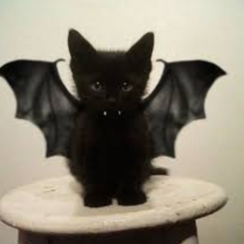 ⚠️Fourth set⚠️ CSC - TRIBE/ACIDCORE/GABBAGABBA MIX 180BPM 28/03/25