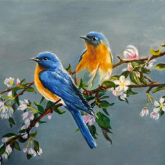 FAITH AND LOVE (Prod. By Rory Sturgeon)