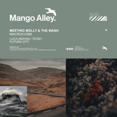 MEETING MOLLY & THE WASH Macrocosm (Teom Remix)